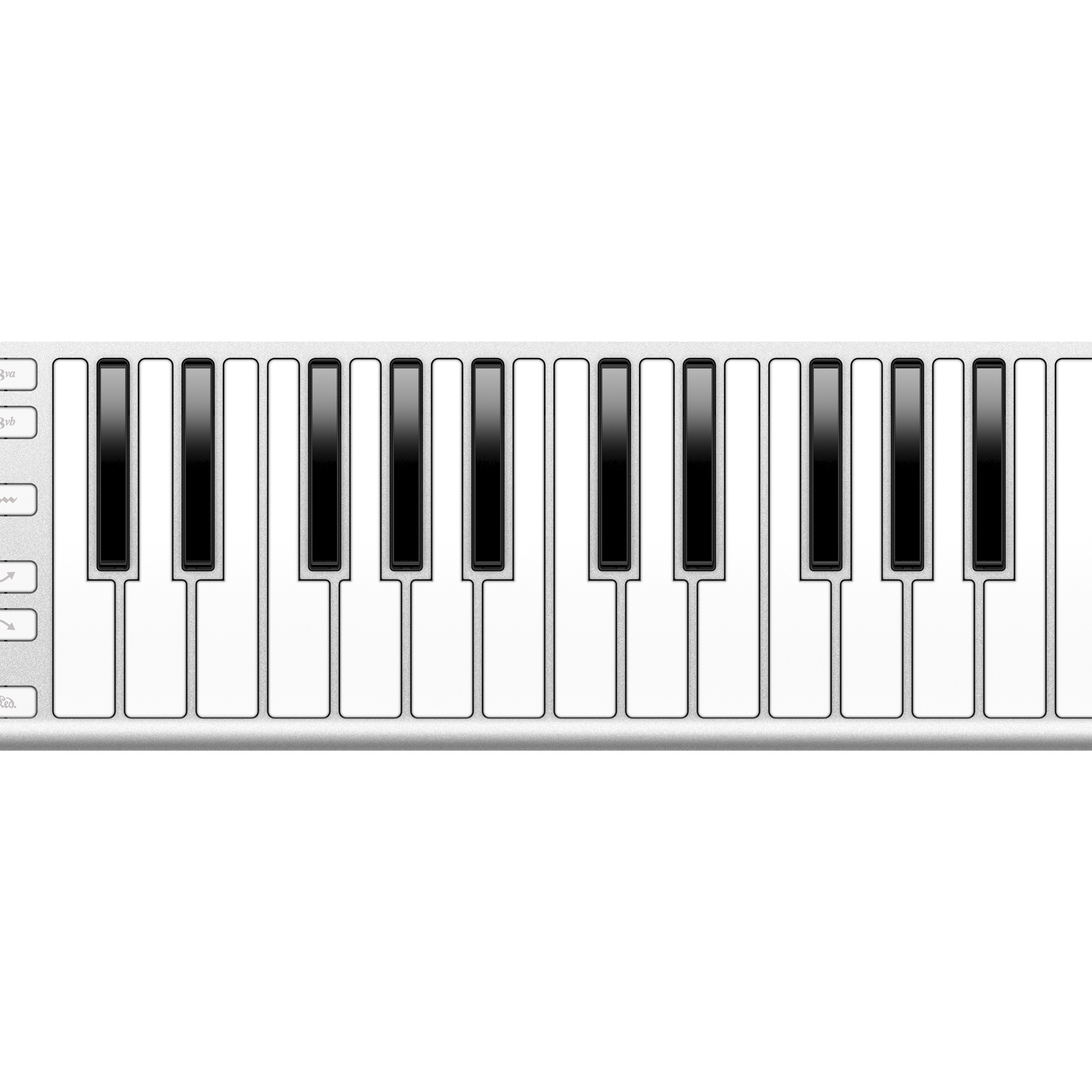 Xkey 25 Key